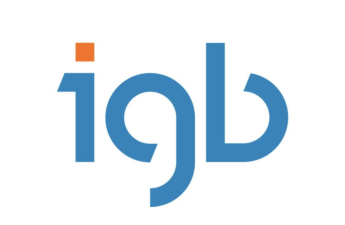 igb